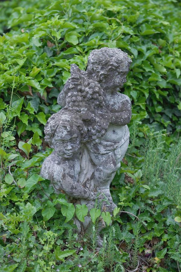 San Giovannina '800 Holiday home Casale Monferrato